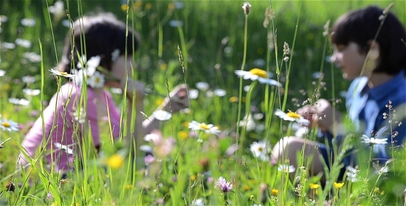 Kids In Beautifull Flower Field b