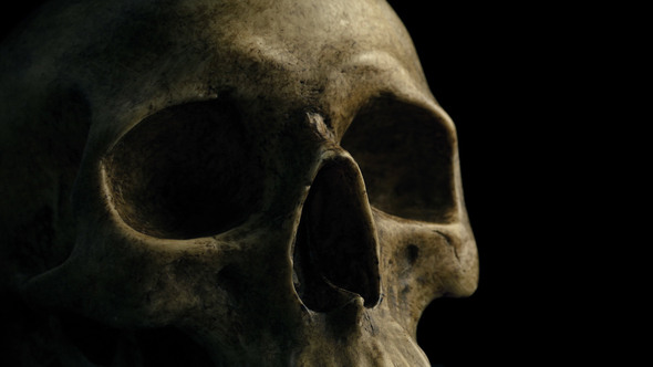 Passing Old Skull In The Dark Closeup
