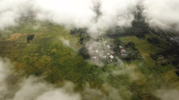 Aerial view traditional Malays kampung surrounded by paddy field