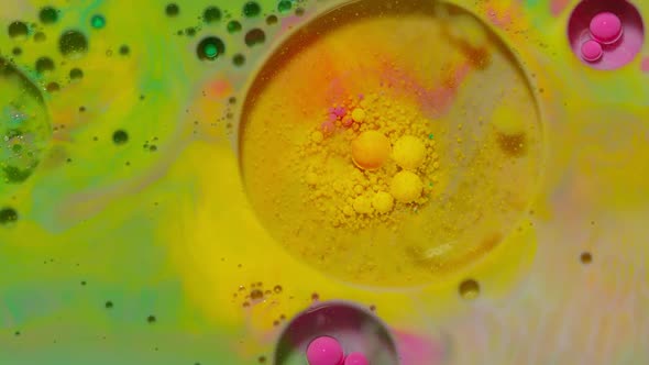 Bubbles Float in Liquid Paint Mixing Ink Oil and Milk Abstract Multicolor Hypnotic Painting