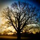 Minimal Technology Timelapse
