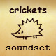 Night Crickets Ambience