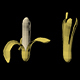 Bananas 01 - 3DOcean Item for Sale