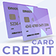 Plastic Credit Card - VideoHive Item for Sale