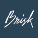 Brisk Handwritten Font - GraphicRiver Item for Sale