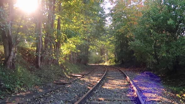 old train tracks in the forest during fall with the sun shining through the trees