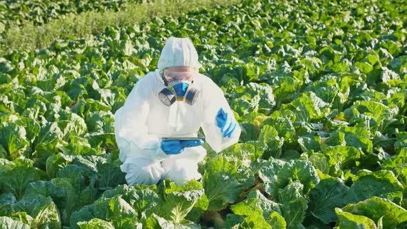 A Female Farmer Agronomist in a Protective Suit with a Respirator on Her Face