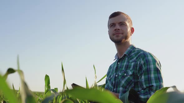 A Young Farmer Agronomist with a Beard Holds a Tablet in His Hands and Admires the Beauty of a Corn