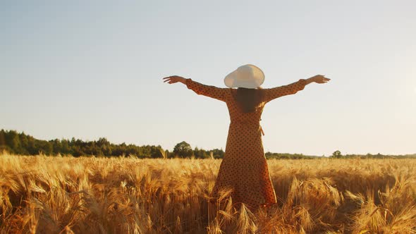 Pregnant woman in the rays of the sunset in the field