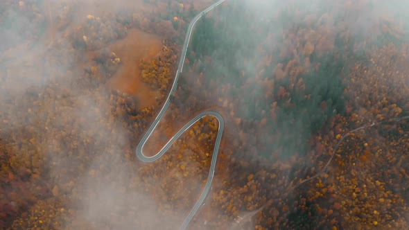 Aerial View Video Top View of Colorful Trees of Late Autumn Forest with Winding Country Road