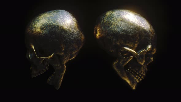 Golden Skulls 4K