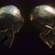 Golden Skulls 4K - VideoHive Item for Sale