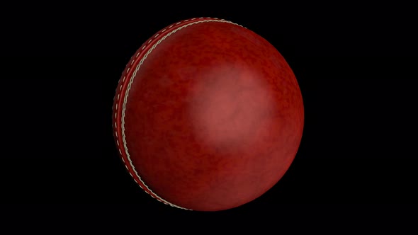 Cricket Ball Loop