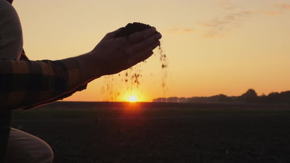 An Agronomist Examines the Soil in His Hands in the Field