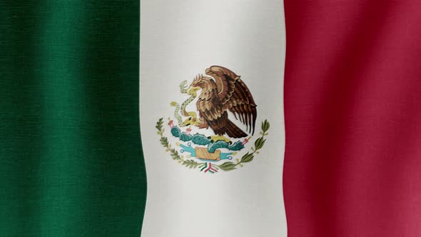 The National Flag of Mexico