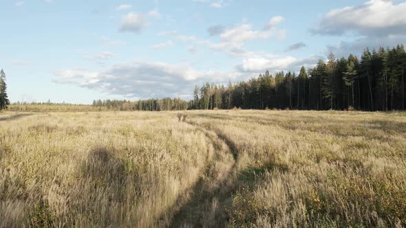 Flying Over a Yellow Autumn Field