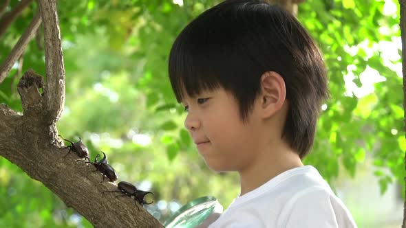 Cute Asian Child Looking Through A Magnifying Glass At A Rhinoceros Beetle In The Forest 7