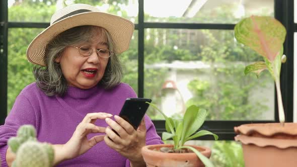 Asian elderly women live at home. She holds a smartphone to chat online with her friends.