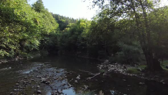 FPV Aerial Shot Dynamic Flying at Natural Landscape River Canyon in the Dense Green Forest and Rapid