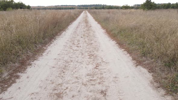 A Dirt Road Through an Empty Field