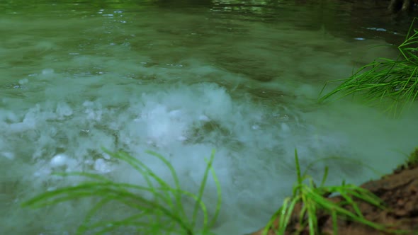 Water Boils in a River Lake or Swamp