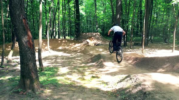 Bike Rider Is Cycling Over Obstacles in the Forest