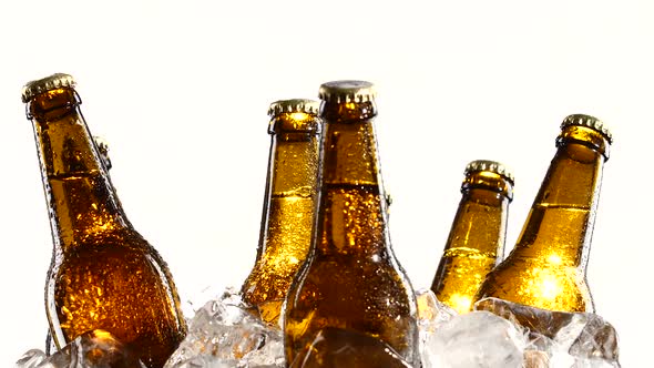 Bottles with Beer, Light From the Sun Falls on the Dark Glass Bottles. White Background. Close Up