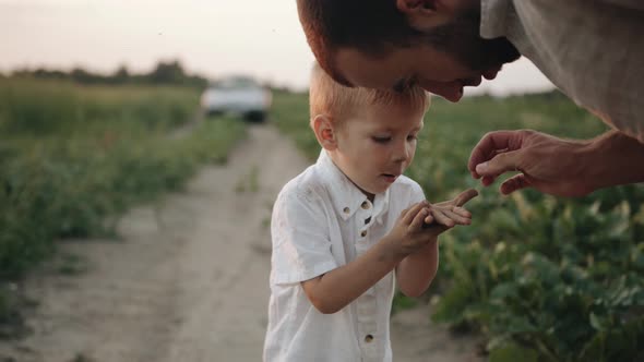 The Little Son is Showing His Father Something in Handbreadth of His Hand Standing on the Road Among