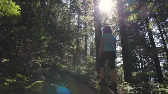 Adventurous Woman Hiking on a Fallen Tree in a Beautiful Green Rain Forest