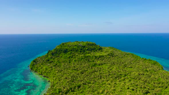 Tropical Island Covered in the Jungle Top View