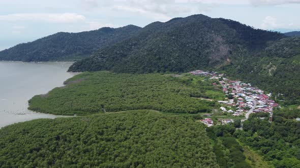 Aerial view mangrove forest