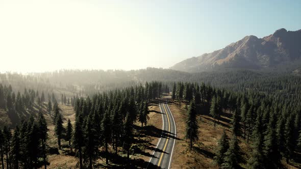 Natural Aerial View on the Road and Forest at the Autumn Time