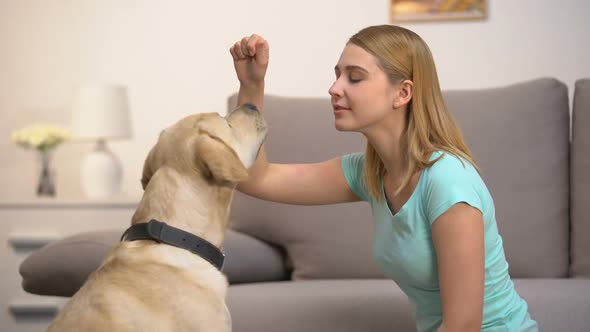 Happy Woman Training Dog and Giving Food