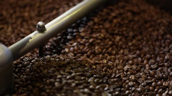 Coffee Production. Brown Beans Roasting In Machine Closeup