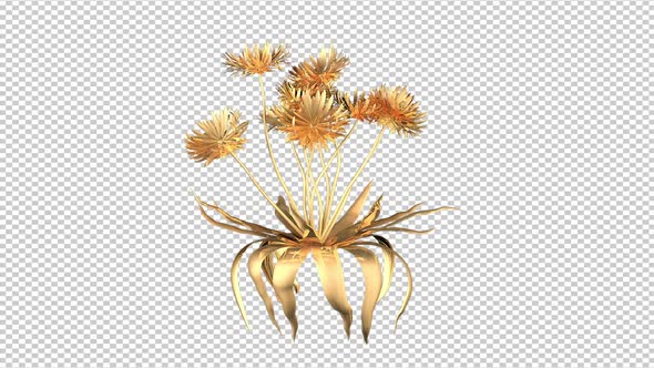 Golden Dandelion Flowers