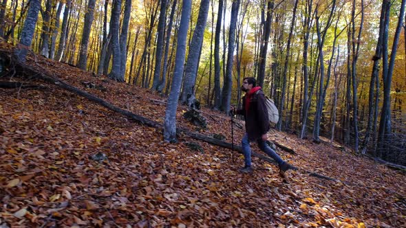 Man is Enjoying Nature Walking Alone in Sunny Forest at Autumn Day