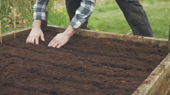 Young gardener places seed tape into rows in raised garden bed