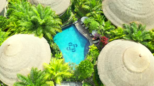 Beautiful Exotic Tropical Villas with Pool and Around Palm Trees in Ubud, Bali, Indonesia