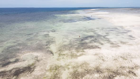 Ocean at Low Tide Near the Coast of Zanzibar Island Tanzania Slow Motion