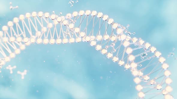 Biology molecules structure