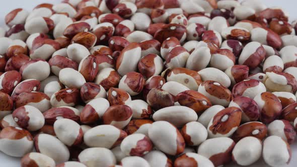 Colorful bean seed were produced under organic condition.