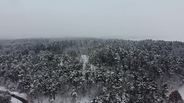 Drone descends in winter conifer forest during light snowfall
