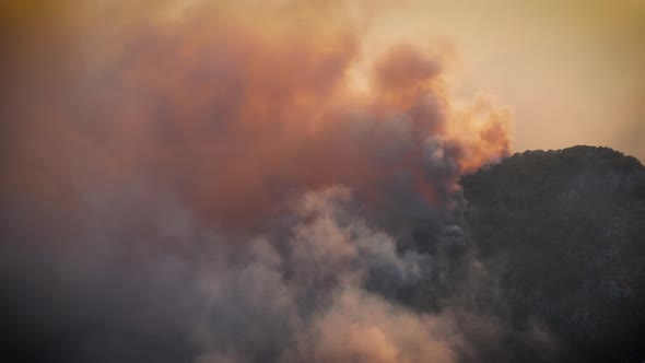 Smoke of a Forest Fire