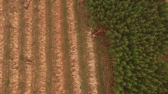 Forestry and logging operations taking place in the highlands of Scotland using large industrial mac