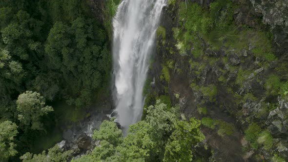 After a pleasant hike we find ourselves looking from the lush rainforest above, at the water from pi