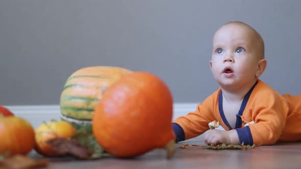 Cute Infant Baby in Orange Clothes Playing on the Floor with Pumpkins and Autumn Fallen Leaves