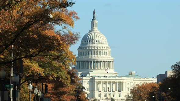 United States Capitol with Autumn Trees - Washington, D.C. - USA