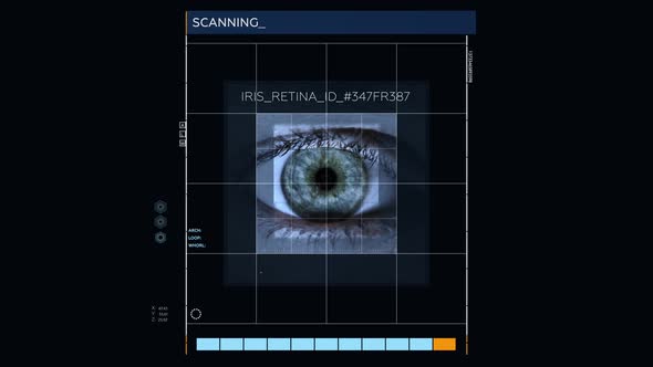 Retina. Scanning Biometric Data. Secret Spy Base. Criminal Search. Access Denied alt