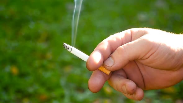 A Smoking Cigarette in a Hand