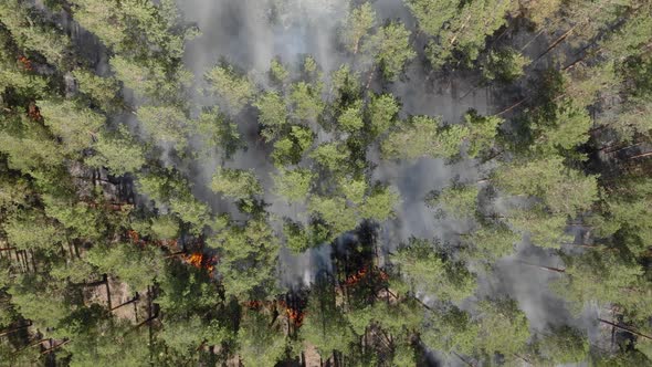 Aerial Drone Flying Over Forest Fire